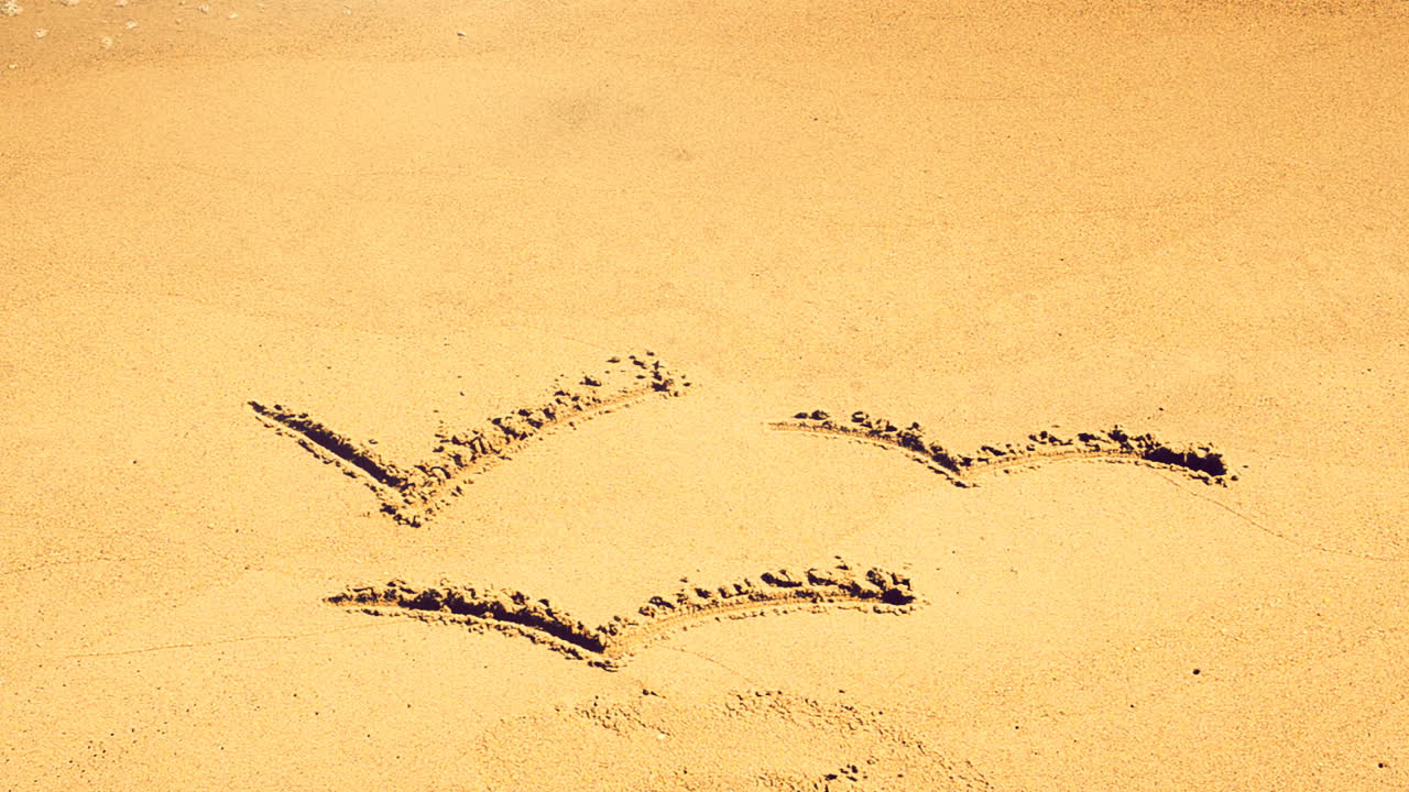 Disegno di gabbiani sulla sabbia. Riprese in spiaggia.