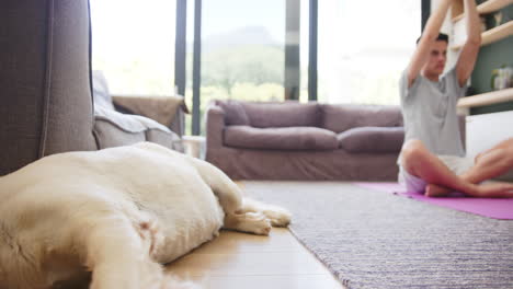 Focused-biracial-man-practicing-yoga-sitting-in-living-room-with-pet-dog-sleeping,-slow-motion