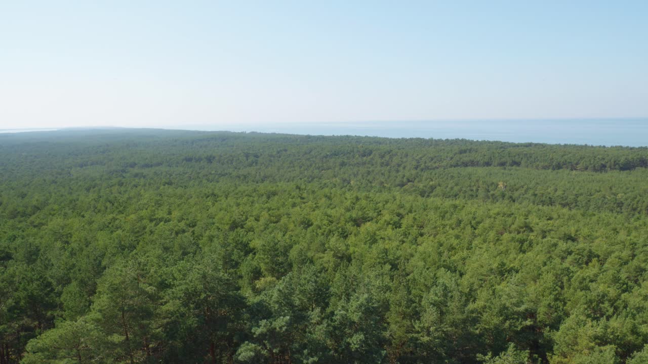 스로 등대 꼭대기에서 푸른 숲과 발트해를 내려다보는 전망입니다.