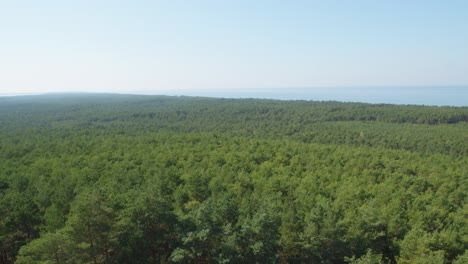 A-panoramic-view-from-the-top-of-the-Stilo-lighthouse,-overlooking-the-lush-green-forest-and-the-Baltic-sea