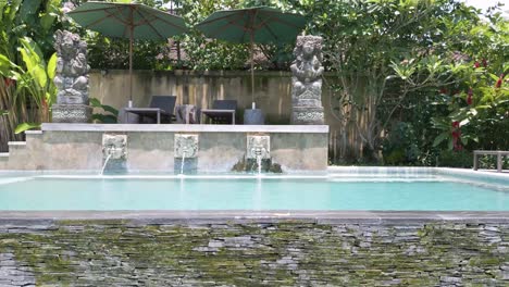 pan shot of villa pool in sukowati, gianyar