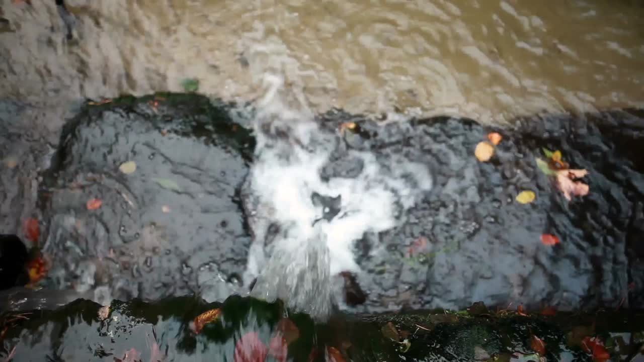 수영장 으로 흐르는 물