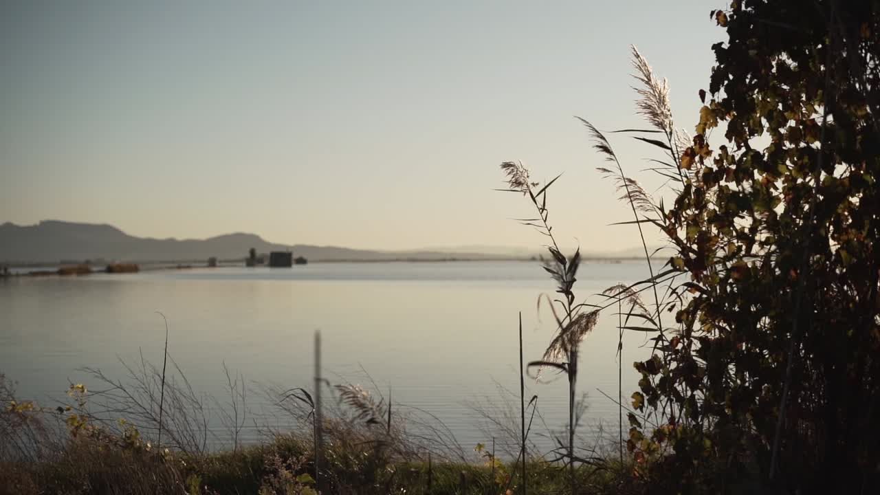 Tramonto su un lago sereno con canneto e vegetazione