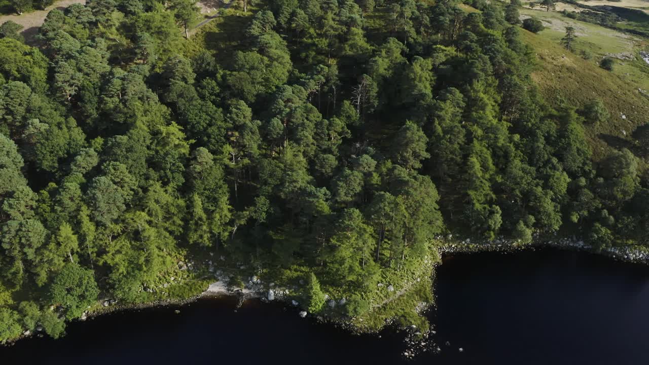 호수 테이 호수의 아름다운 고요한 풍경, 위클로 산에 있는 기네스 호수, 화창한 날에 푸른 숲이 있는 4일
