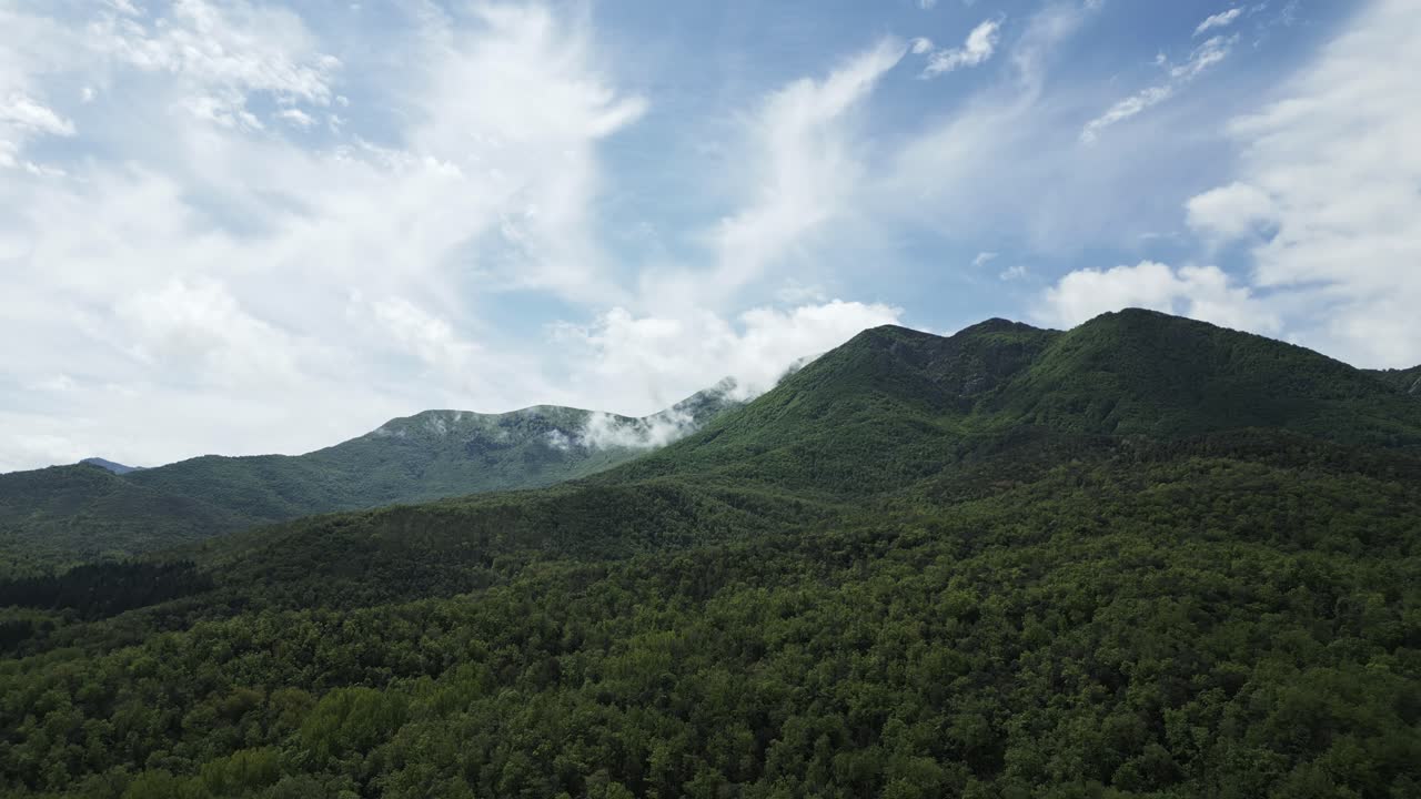 Lush green forest covering rolling mountains under a vibrant blue sky with drifting clouds. Atmospheric view depicting the beauty and tranquility of nature