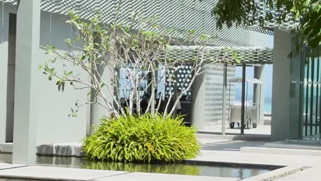 a contemporary courtyard featuring vibrant plants, reflective surfaces, and sleek architectural elements under natural sunlight.