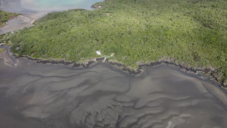 holiday houses on volcanic coastal of rangitoto island, new zealand