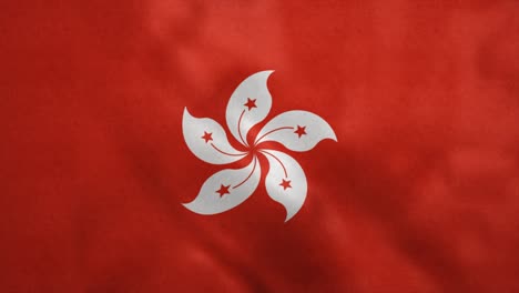 national flag of hong kong blowing in the wind. seamless loop