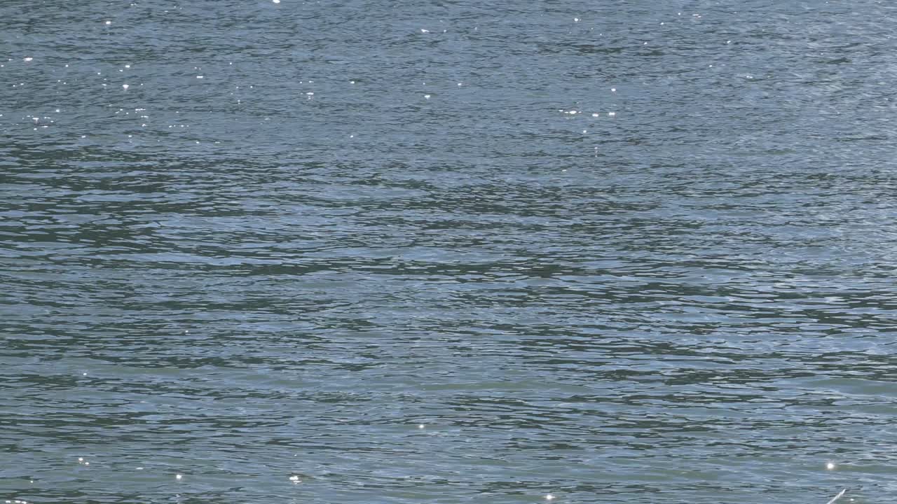 밝은 빛 아래 반이는 부드러운 파도