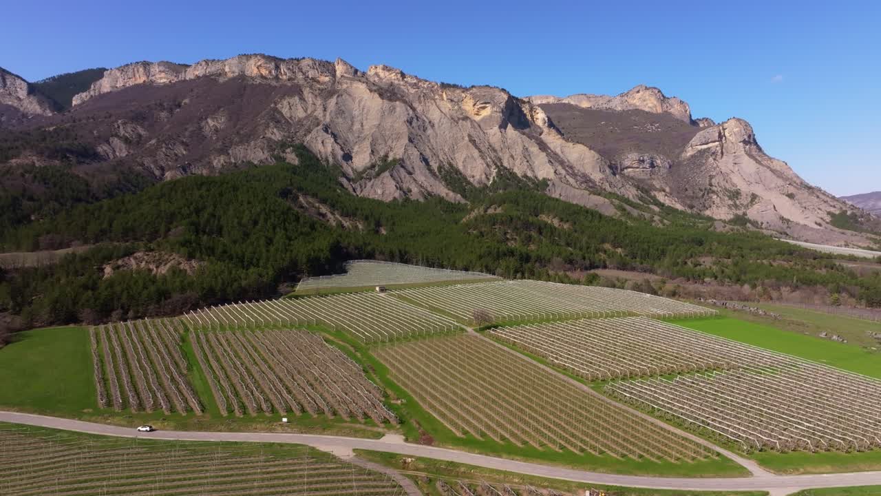 春のフランスの田園地帯に広がる花咲く木立
