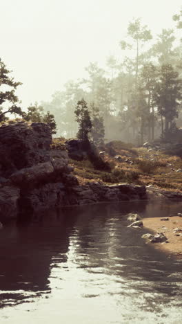 misty forest river scene
