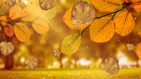 animación de hojas que caen sobre el paisaje de otoño