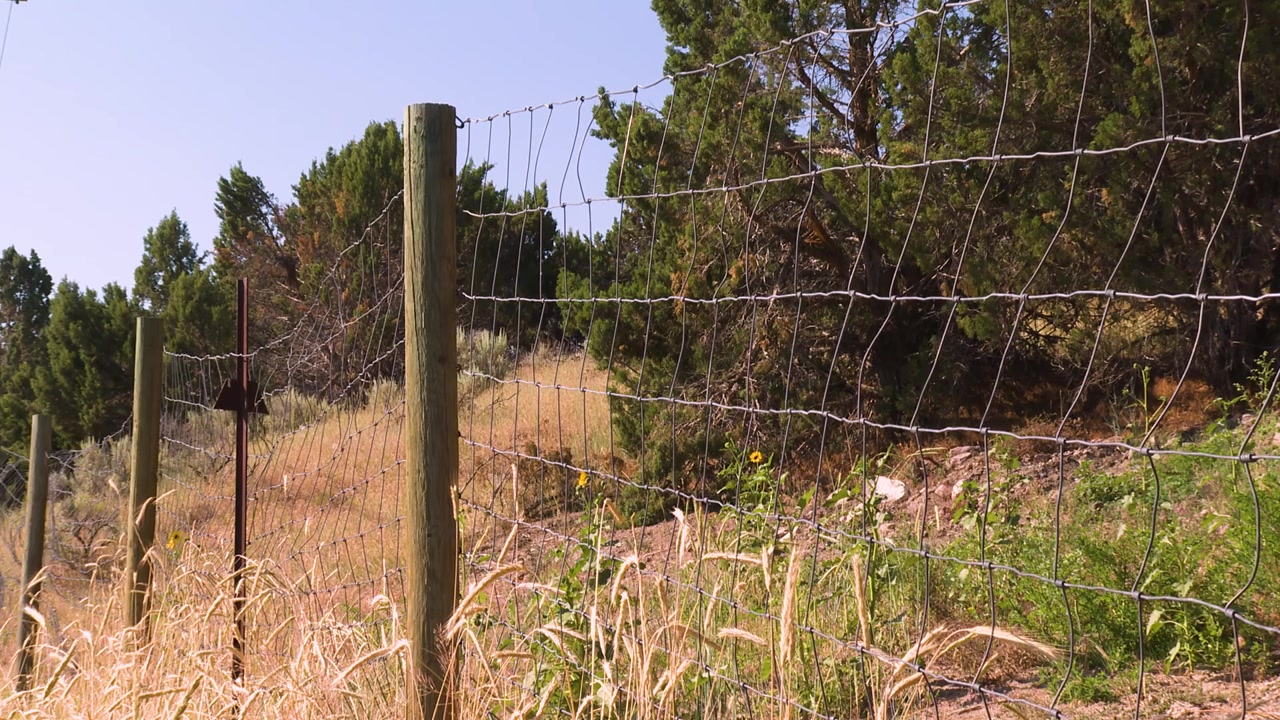 Recinzione per la fauna selvatica in Idaho per impedire agli animali di attraversare le strade