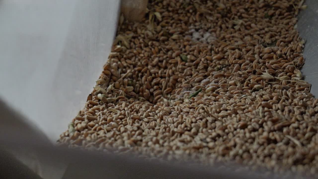 Vista ravvicinata all'interno di un sacco di tessuto che mostra chicchi secchi muoversi e cadere delicatamente, rivelando la texture naturale e la materia prima.