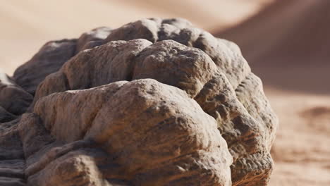 Abstract Textured Rock Formation in Desert Landscape