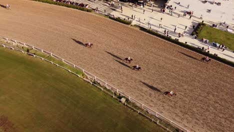 horses trotting to starting point in racecourse of buenos aires at sunset