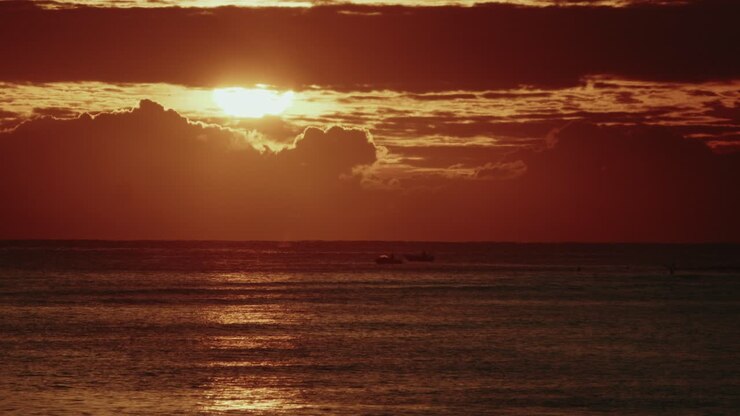 Ocean sunrise with whale and boats and surfers