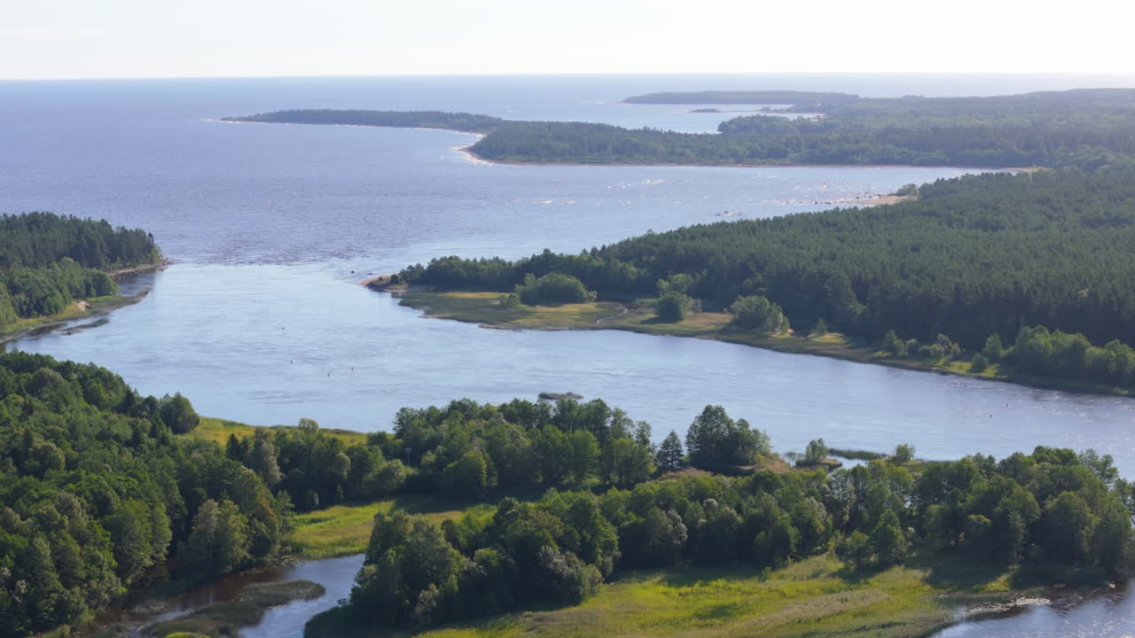 Aerial View of a River Meeting the Sea in a Lush Green Forest