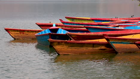 colorful wooden boats in a lake. traditional boats parked at the shore of begnas lake in pokhara, nepal.