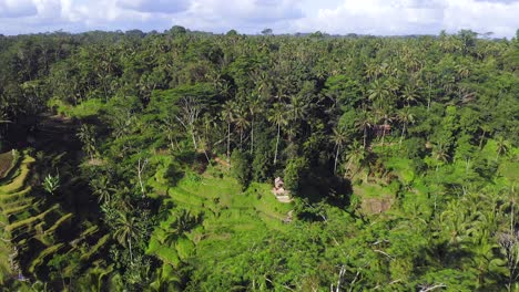 Hillside-Rice-paddies-at-Ubud,-an-Indonesian-town-on-the-island-of-Bali,-Pullback-aerial-view