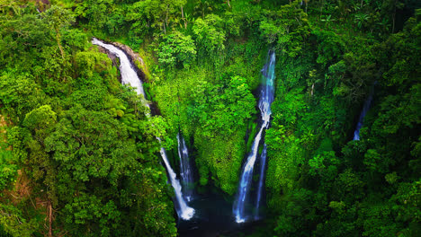 breathtaking fiji waterfalls in lush green rainforest valley in bali