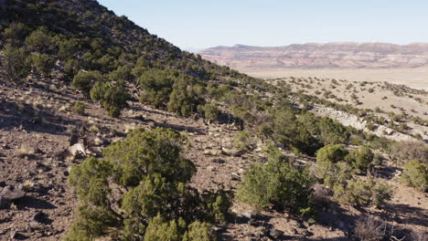 aumento de imágenes de drones aéreos de las formaciones rocosas de los hierros planos, colorado