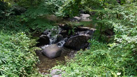 stream-in-Japanese-style-garden-waterfall