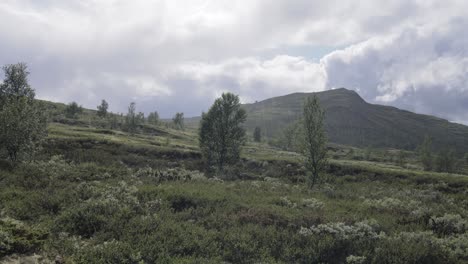 Regen-über-Der-Arktischen-Tundra.-Wunderschöne-Natur-Norwegen.