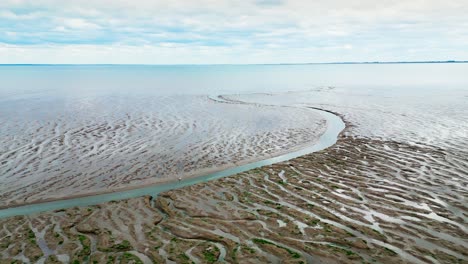 cracked mud flats in a salt marsh