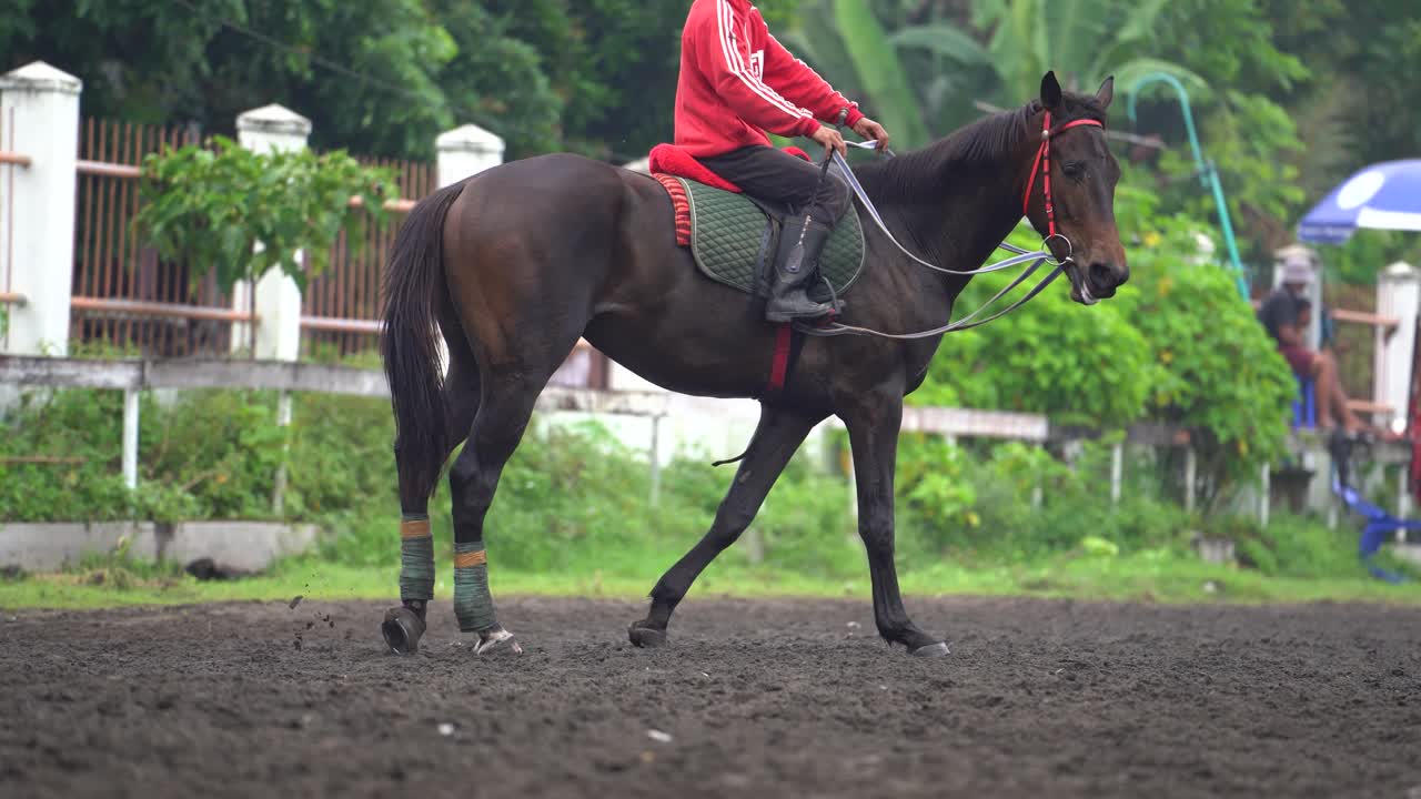 mostrando las patas del caballo mientras camina por la pista