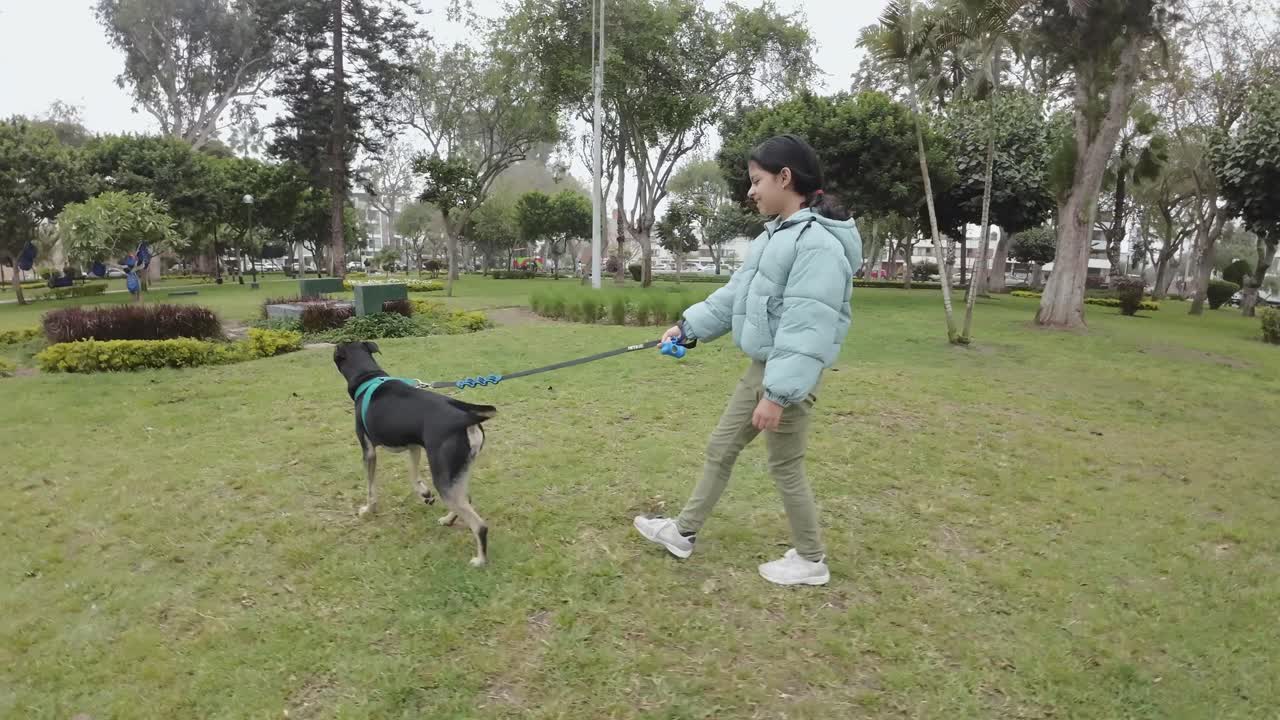 Giovane ragazza che porta a spasso il suo cane al guinzaglio in un parco verde.