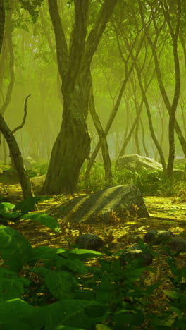 lush forest bathed in golden sunlight creates a tranquil haven for explorers