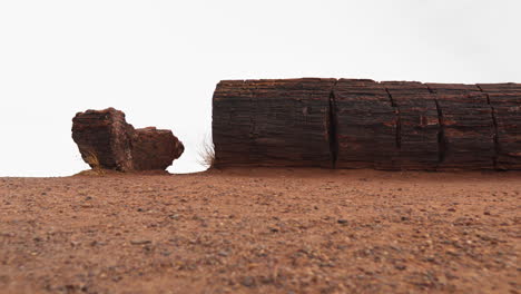 Tronco-De-Madera-Gigante-En-El-Parque-Nacional-Del-Bosque-Petrificado-En-Arizona,-Tiro-Panorámico-De-Carro