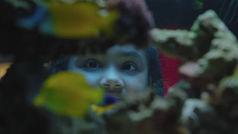 Niña-Feliz-En-El-Acuario-Mirando-Peces-Niño-Curioso-Viendo-La-Colorida-Vida-Marina-Nadando-En-El-Tanque-Aprendiendo-Sobre-Animales-Marinos-En-El-Oceanario