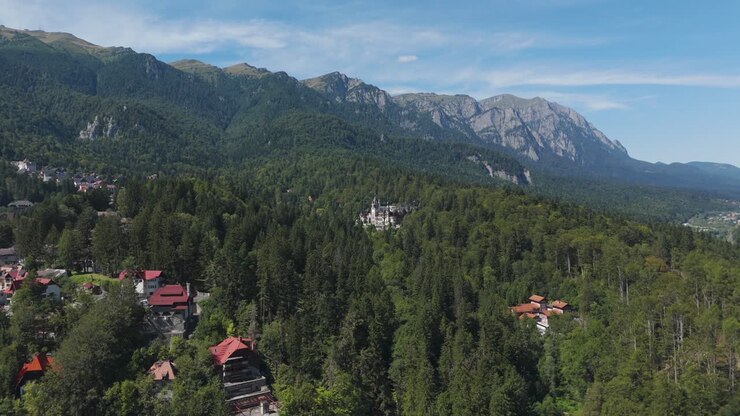 Vista aerea del Castello di Peleș da lontano, circondato da una fitta foresta con i Carpazi sullo sfondo