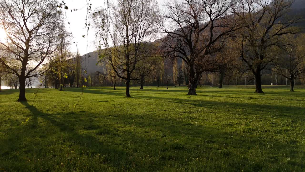 Passeggiata nel bosco, cielo dorato, raggi di sole, alba, tramonto, Svizzera, all'aperto