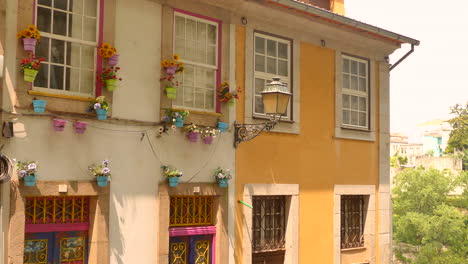 flower pots hanging on the window of historic buildings in porto, portugal