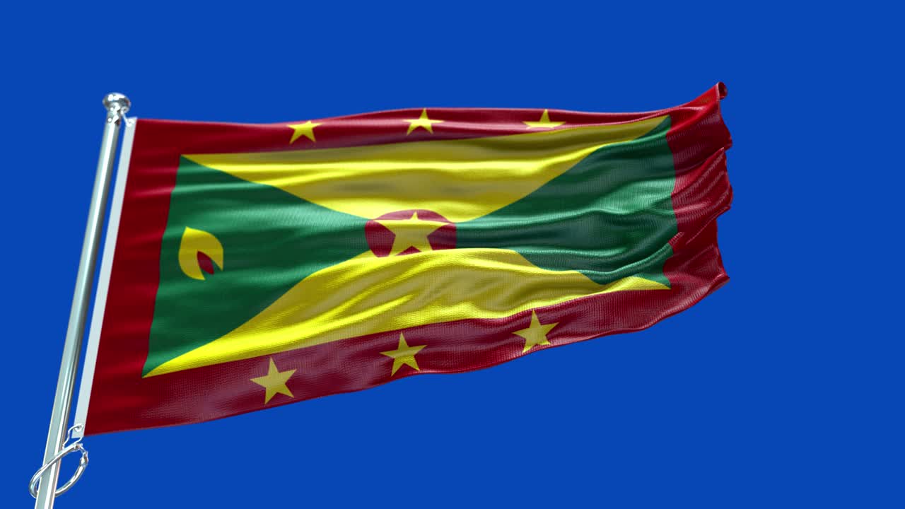 4k 매우 상세한 그레나다의 발 - 그레나다 발 높은 세부 사항 - 국가 발 그레나다 파동 패턴 루프 가능한 요소