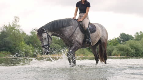 Horse-standing-in-the-river-and-forcefully-stomping-front-leg,-handheld-shot