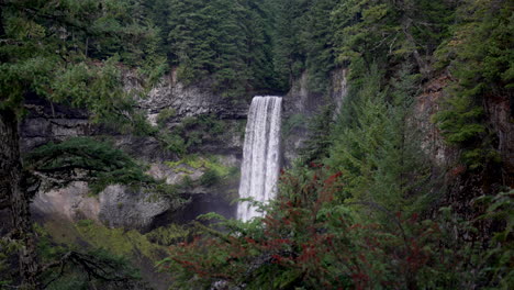 cataratas brandywine, cascada en el parque provincial con bosque denso en bc, columbia