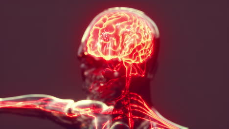 concepto de dolor de cabeza humano cerebro de rayos x brillantes