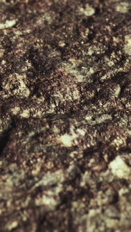 close up of a rough stone texture