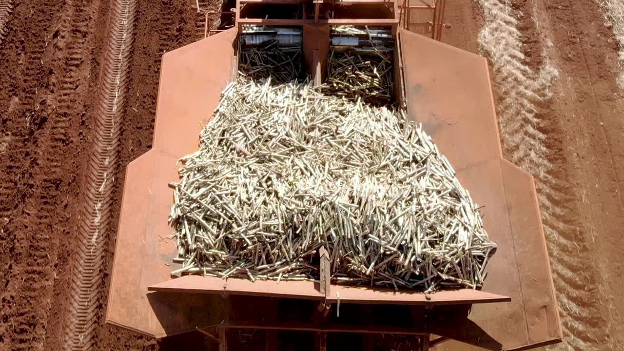 tractor automatizado plantando caña de azúcar en brasil