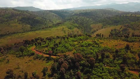 amazing landscape of forest land and mountain hike trails through mount elgon national park in kenya, east africa. aerial wide shot