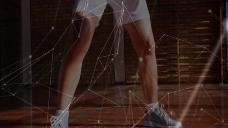 network connection with woman playing basket