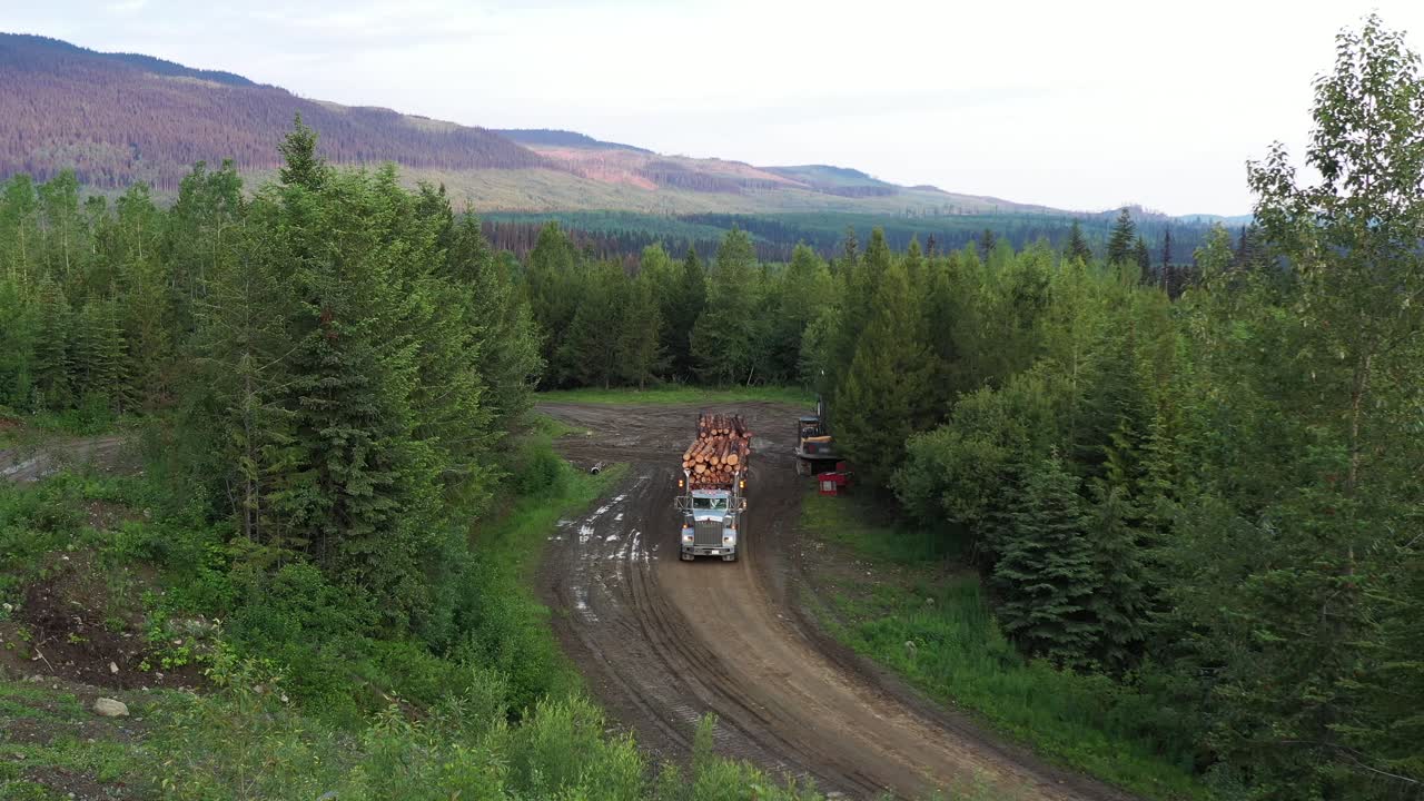 camión de tala en el bosque: vista aérea del transporte de madera en la columbia británica