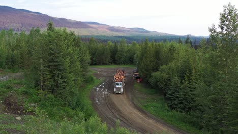 logging truck in forest: aerial view of timber transport in british columbia