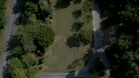 Tree-lined-and-quiet-roads.-Aerial-top-down-forward