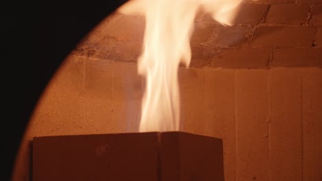 burning fire in a wood-fired oven