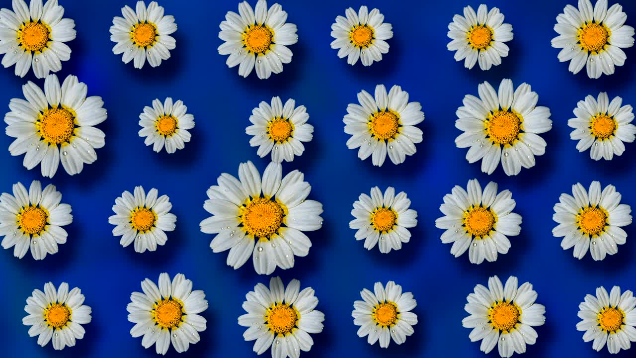 hermoso fondo floral animado de verano